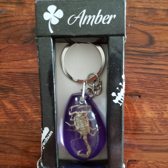 Insect Fashion Scorpion Key Chain - Picture 1 of 4